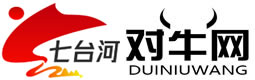 七台河信息网